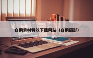 平阳白鹅素材特效下载网站（白鹅摄影）